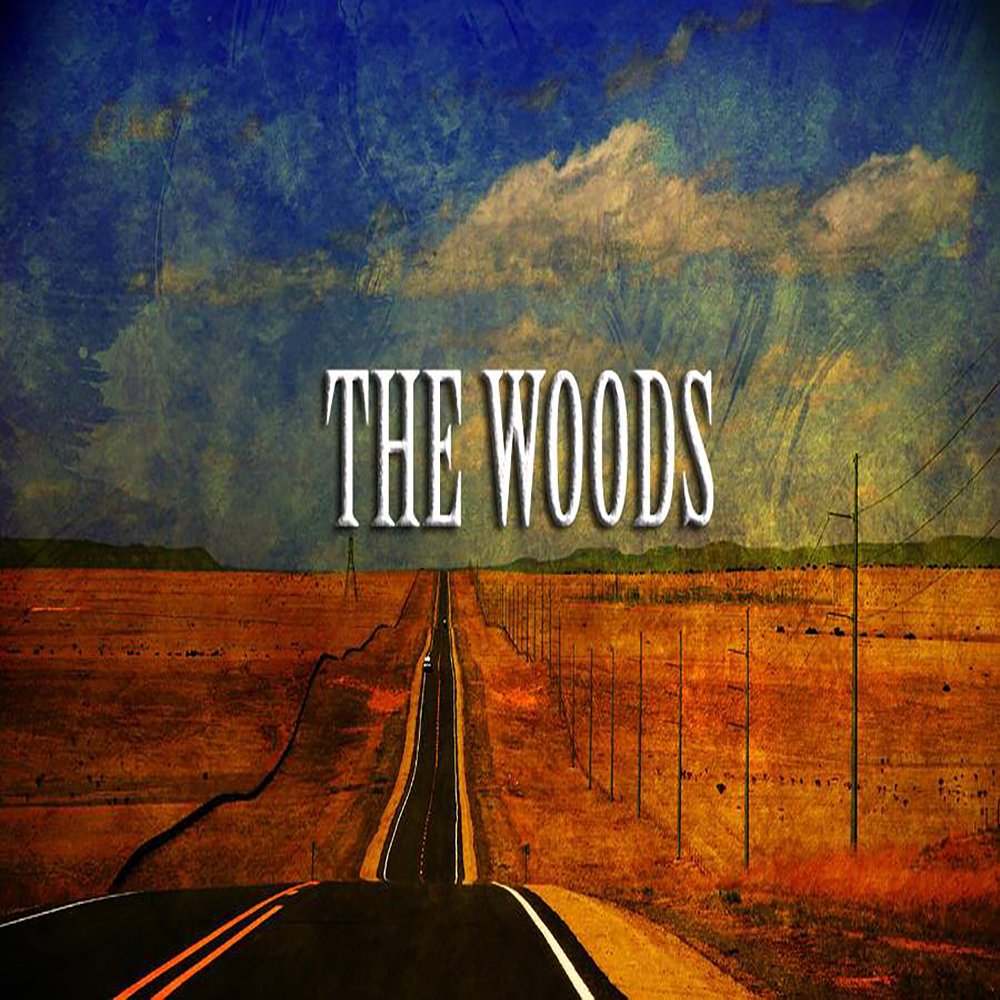 1459769644 the woods