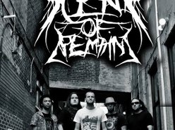 Image for Scent of Remains