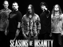 Image for Seasons of Insanity