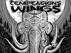 Image for Temptations Wings