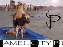 Camel City Pie