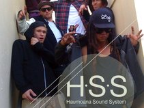 Haumoana Sound System