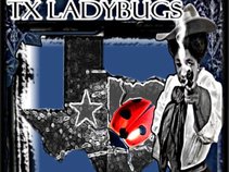 TX Ladybugs
