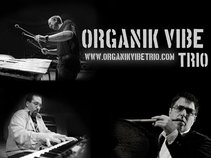 Organik Vibe Trio