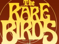 Image for The Rare Birds