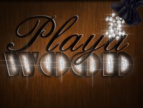 Playa Wood(CEO)