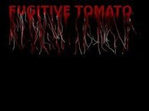 Fugitive Tomato