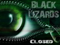 Black Lizards