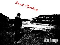 Dead Monkey