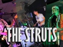 The Struts (2009-2012)