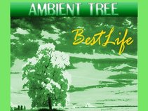 AMBIENT TREE
