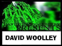 david woolley