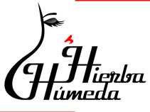 HierbaHumeda