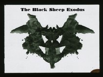 The Black Sheep Exodus