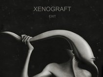 XENOGRAFT