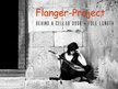 Flanger-Project