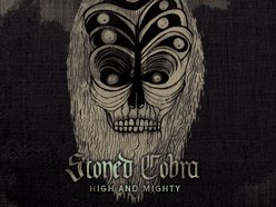 Image for Stoned Cobra