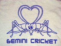 Gemini Cricket