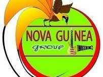 NOVA GUINEA GROUP