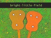 bright little field