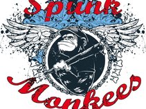 Spunk Monkees