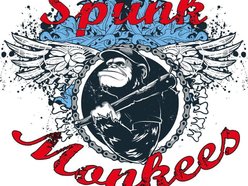 Image for Spunk Monkees