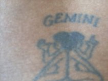 From Genesis 2 Gemini
