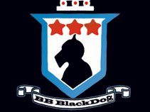 BB BlackDog Steampunk Rock