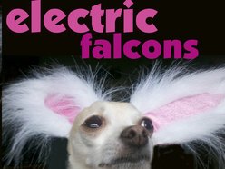 Image for Electric Falcons