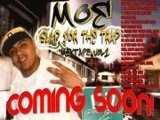 MOE of  GUTTA GAME ENT