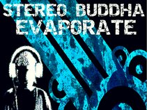 Stereo Buddha