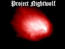 Project Nightwolf