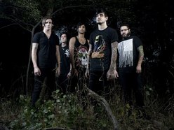 Image for Like Moths to Flames