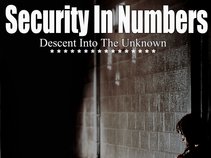 Security In Numbers