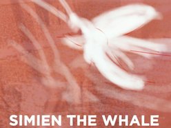 Image for Simien The Whale