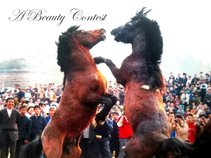 A Beauty Contest