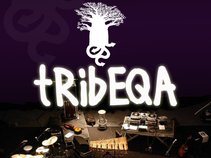 TribeqaMusic