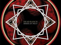 Dead Ranch