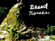 Desert Noises