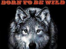 BORN TO BE WILD  - a tribute to STEPPENWOLF