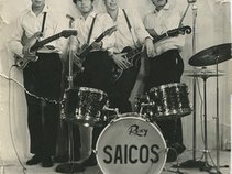 Los Saicos