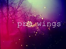 Pro Wings