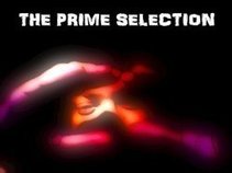 The Prime Selection