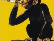 Rum Monkey