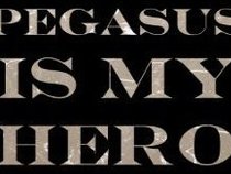 Pegasus Is My Hero