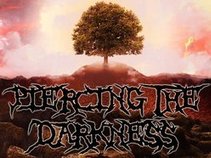 Piercing the Darkness (Metal Band)