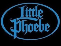 Little Phoebe