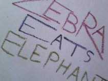 zebra eats elephant