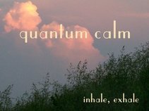 quantum calm
