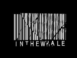 Image for In The Whale